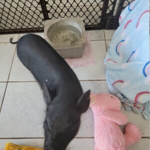 KASANDRA added a photo of their purchase