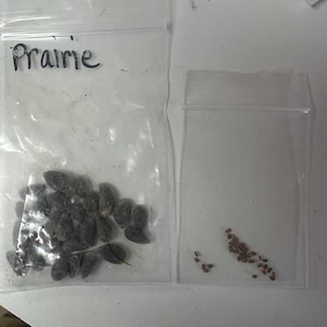 Jake ha añadido una foto de su compra