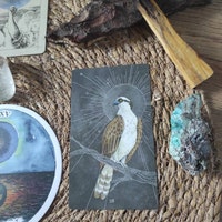 Birds Oracle Deck 2 - Etsy