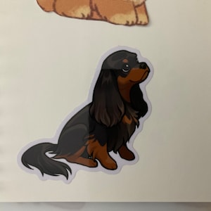 Mochi added a photo of their purchase