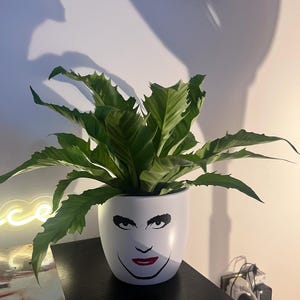 Sharon added a photo of their purchase