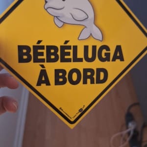 Jennifer ha aggiunto una foto del proprio acquisto