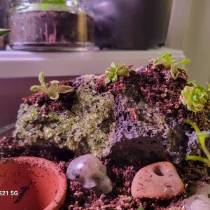 Patrina adicionaram uma foto da sua compra