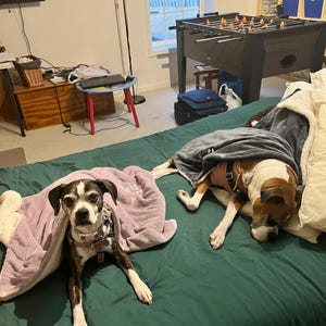 Bonita added a photo of their purchase