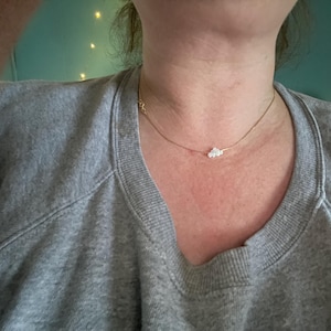 Ted added a photo of their purchase