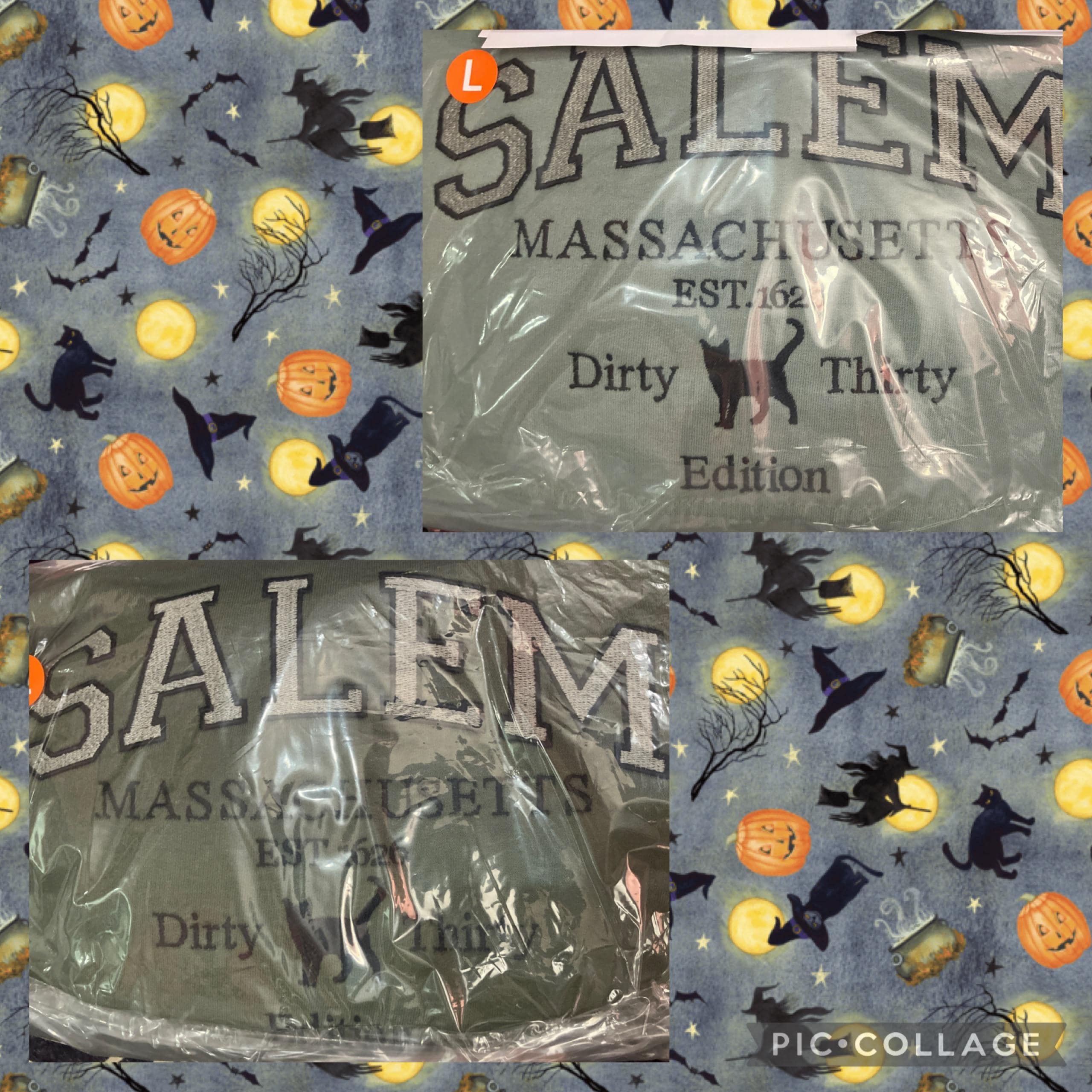 Salem Massachusetts sweatshirt, Hocus Pocus Halloween, Fall Embroidered Sweatshirt, Spooky Season Crewneck, Embroidered Sleeve witch