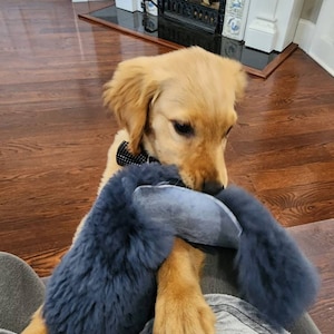 Kristi added a photo of their purchase