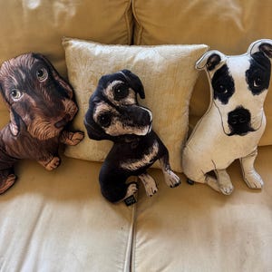 Anne added a photo of their purchase