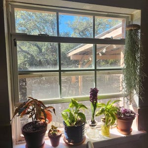 Christopher added a photo of their purchase