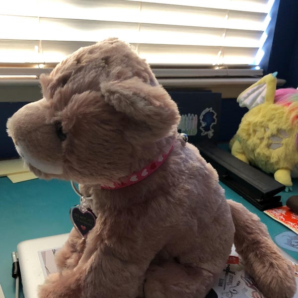 ESSA Charm Key Ring Emotional Support Make Your Own Stuffed Animal ...