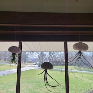 Greta added a photo of their purchase