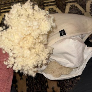 Enzo added a photo of their purchase
