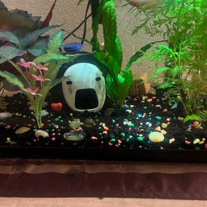 Michelle added a photo of their purchase