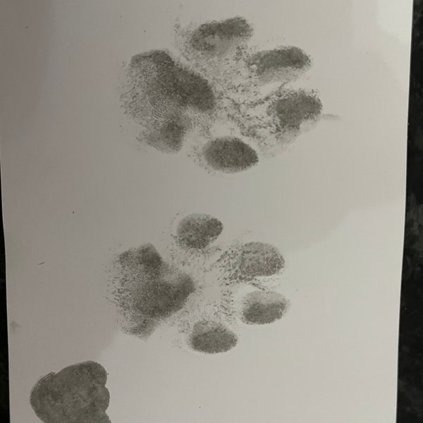 Inkless Pet Paw Print Kit | Get High-quality Paw Prints With Zero Ink ...
