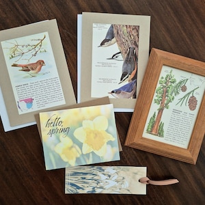 Kathy added a photo of their purchase