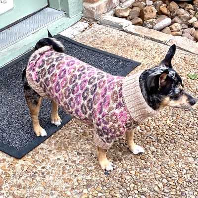 Knitting PATTERN PDF Dachshund Sweater in 1 Size S Chest 15-16 Inch ...