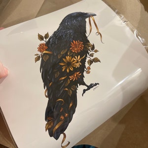 Megan added a photo of their purchase