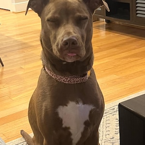 Jill added a photo of their purchase
