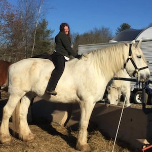 Dineen added a photo of their purchase