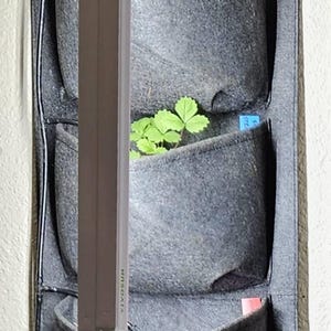 Kat ha añadido una foto de su compra