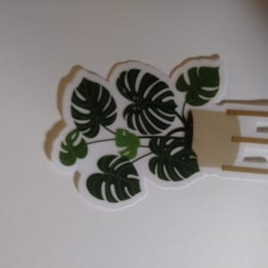 Lisa hat ein Foto des gekauften Artikels hinzugefügt