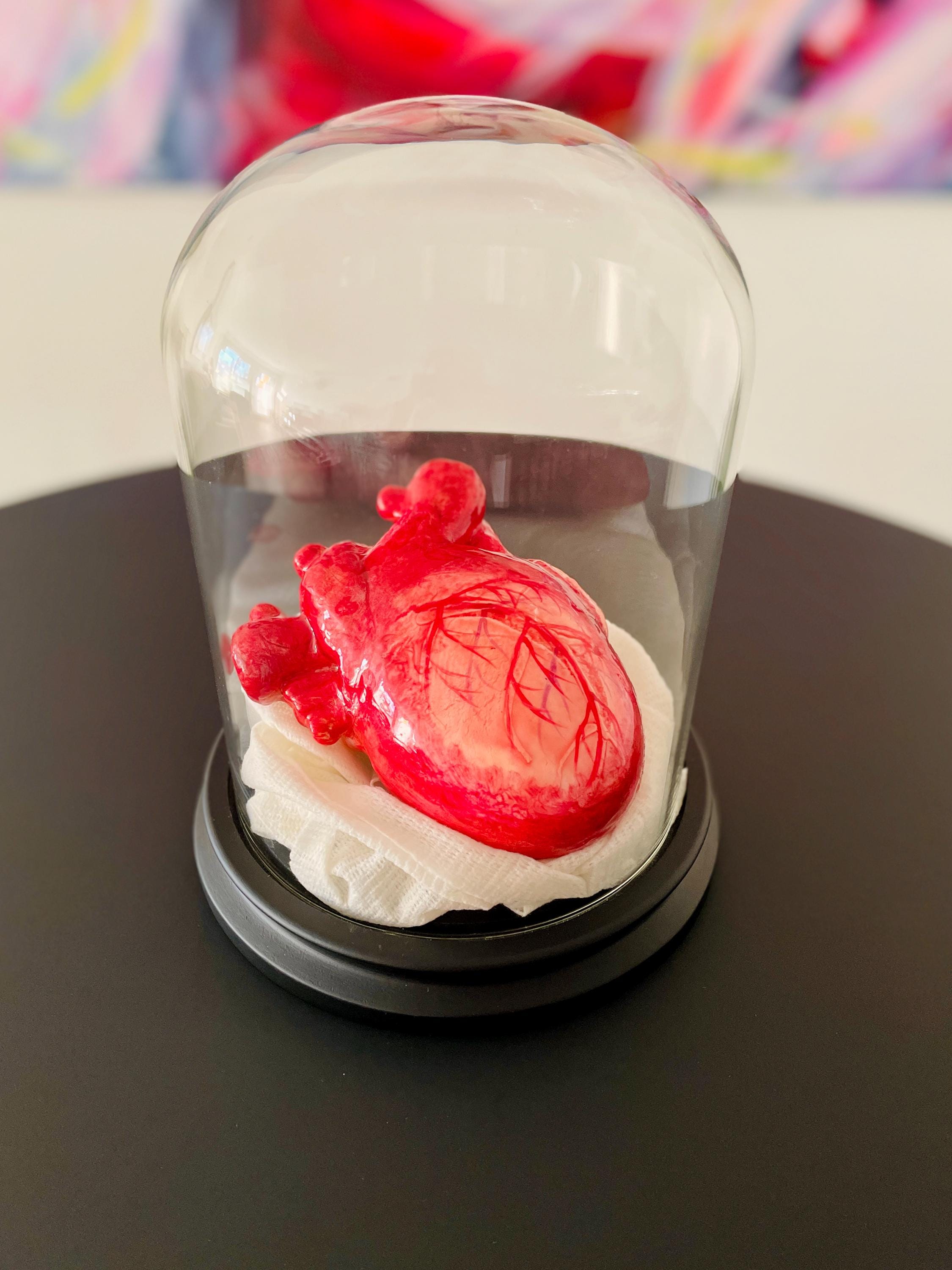Life Size Human Heart,Handmade Heart,Realistic Heartc,Bloody Heart