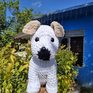 Citlalli added a photo of their purchase