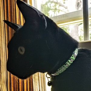 Sally added a photo of their purchase