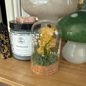 Jenna added a photo of their purchase
