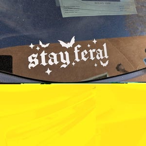 Dandelion added a photo of their purchase