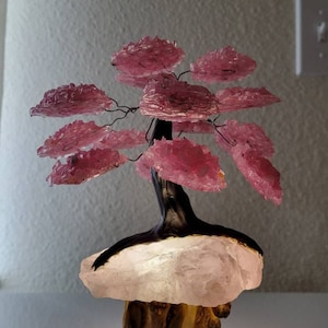 Roosters added a photo of their purchase