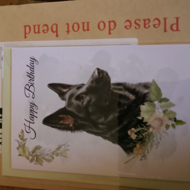 German Shepherd Dog Greetings Card - Whimsical Ink And Watercolour Alsatian Dog Painting Birthday Card Notelet/thank You Blank Inside - Australia