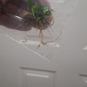 Tia a ajouté une photo de son achat