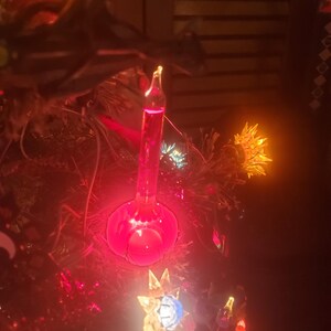 Fox added a photo of their purchase