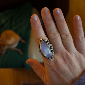 Heidi heeft een foto van zijn/haar aankoop toegevoegd