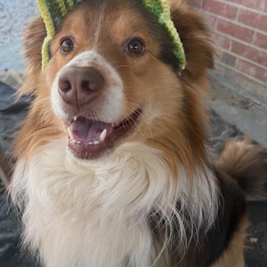 Pam heeft een foto van de aankoop toegevoegd