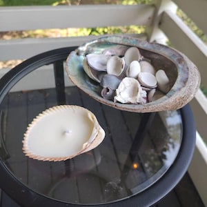 Pamela added a photo of their purchase