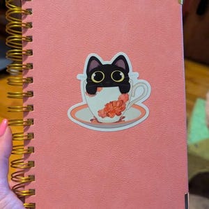 Rachel added a photo of their purchase