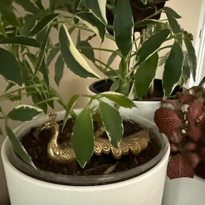 Chris added a photo of their purchase