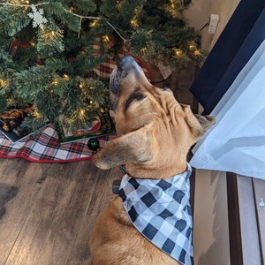 Kaitlyn heeft een foto van zijn/haar aankoop toegevoegd