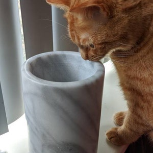 Walter added a photo of their purchase