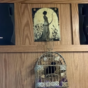 Amy adicionaram uma foto da sua compra