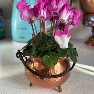 Nina added a photo of their purchase