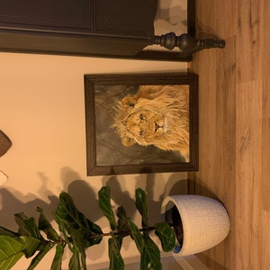 Norma added a photo of their purchase