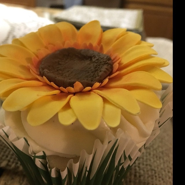 24 Edible DAISY DAISIES Flowers and 12 LADYBUGS / Variety Etsy