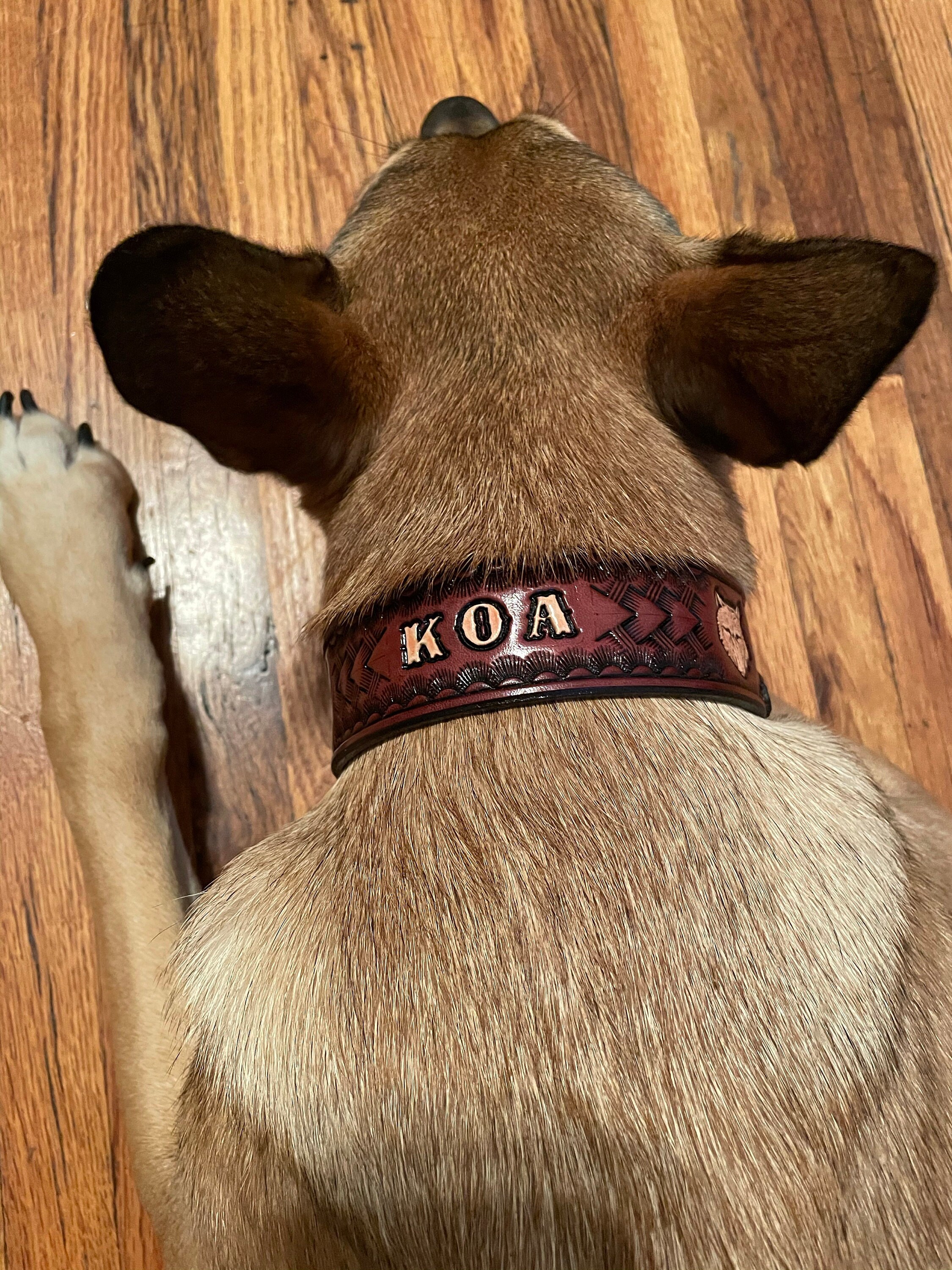 PERSONALIZED LEATHER COLLAR // Personalised leather dog collar // High