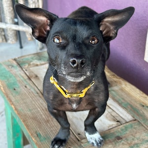 Jessica ha añadido una foto de su compra