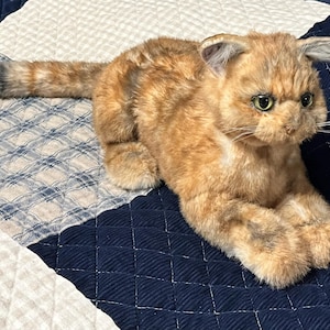 Guyette added a photo of their purchase