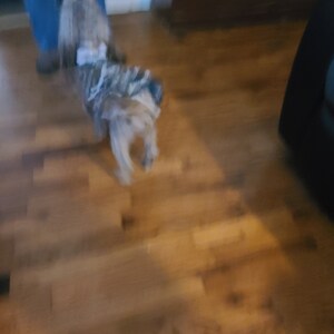 Liz ha añadido una foto de su compra