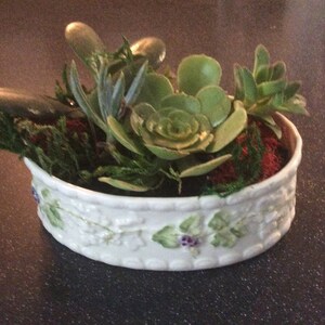 Maribeth added a photo of their purchase